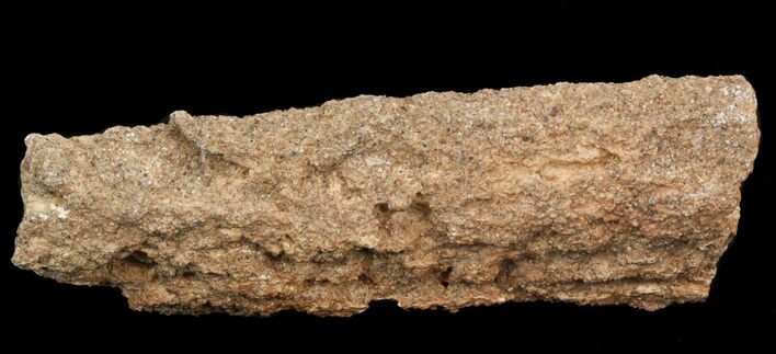 Fulgurite - Petrified Lightening #40888